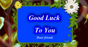 Good Luck To You Best Images