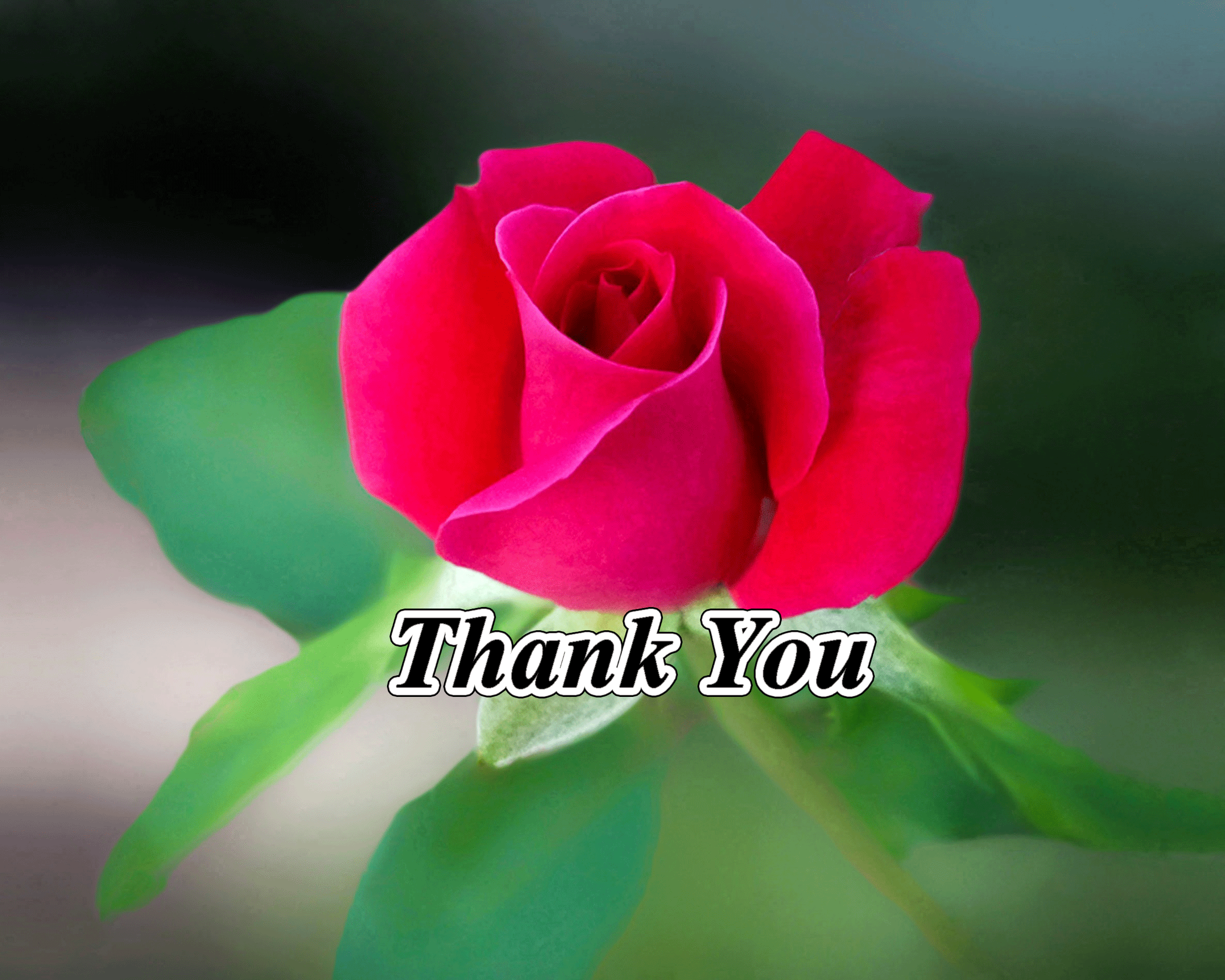 Thank you with beautiful flower image