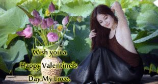 Happy Valentine’s day best image